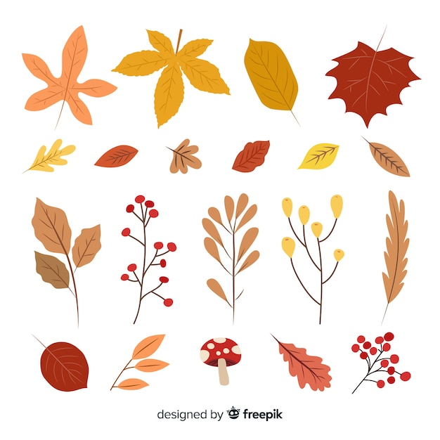 Collection of autumn leaves hand drawn style