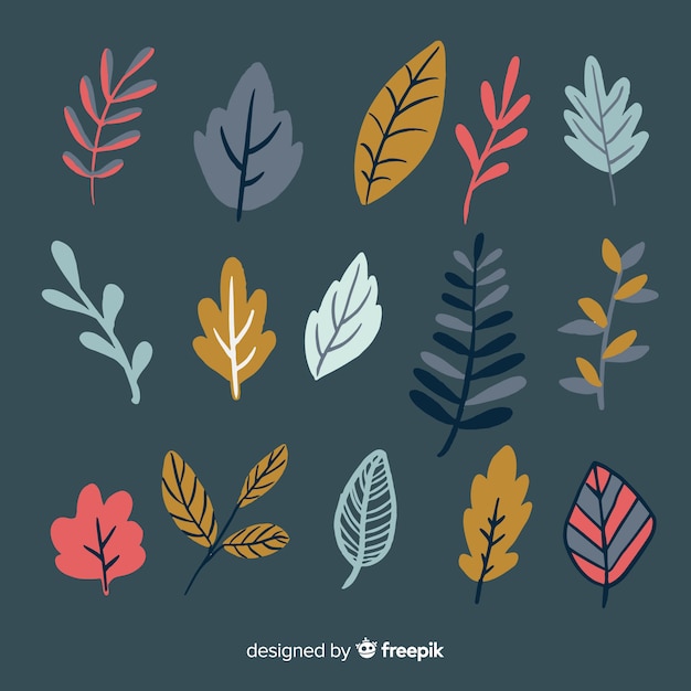 Collection of autumn leaves hand drawn style