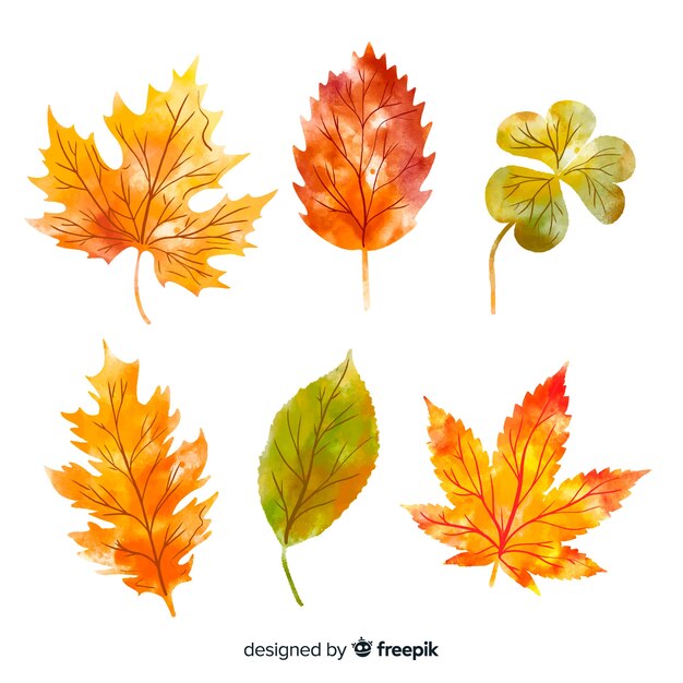 Collection of autumn leaves watercolor style