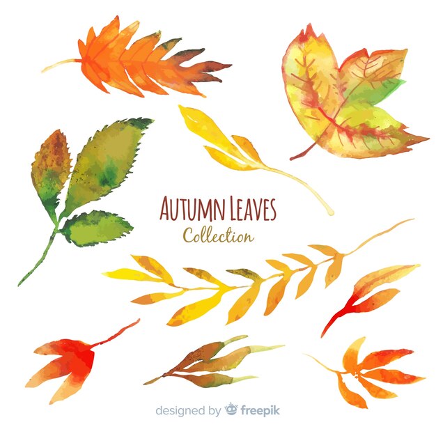 Collection of autumn leaves watercolor style