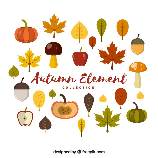 Collection of autumnal elements with vegetables and fruits