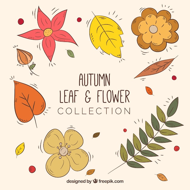 Collection of autumnal hand drawn flowers