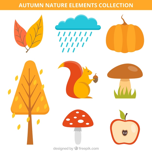 Collection of autumnal items with a squirrel