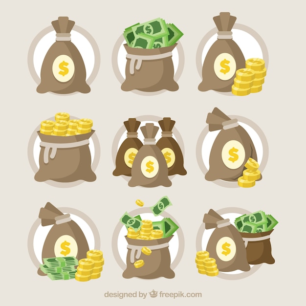 Free vector collection of bag with banknotes and coins