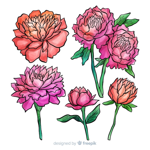 Collection of beautiful peony flowers in watercolor style