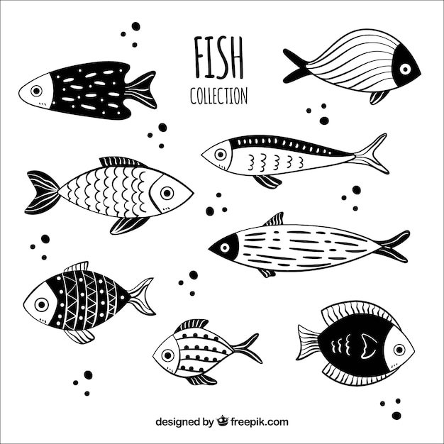 Download Free The Most Downloaded Fish Images From August Use our free logo maker to create a logo and build your brand. Put your logo on business cards, promotional products, or your website for brand visibility.