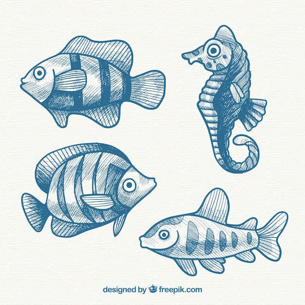 Vettore gratuito collezione di pesci disegnati a mano blu