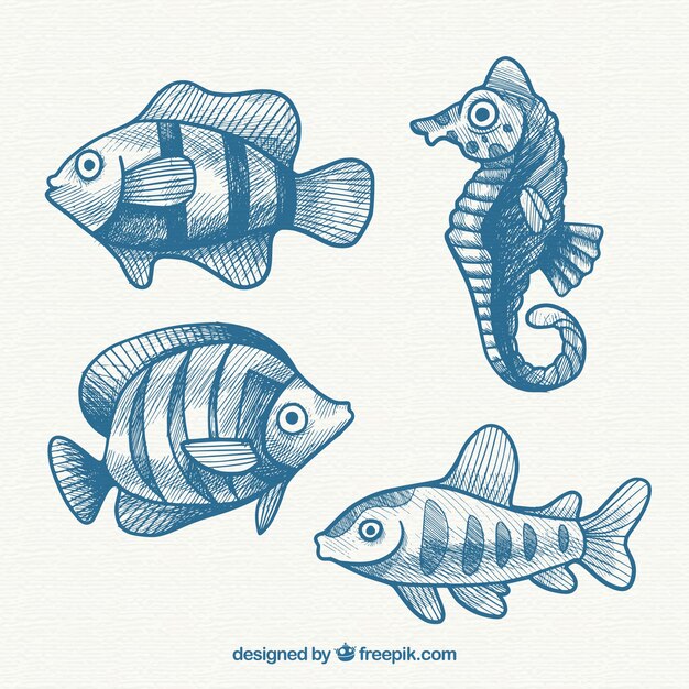 Free Vector collection of blue hand drawn fish