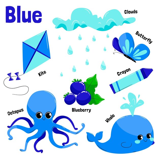 Collection of blue objects and vocabulary words in english