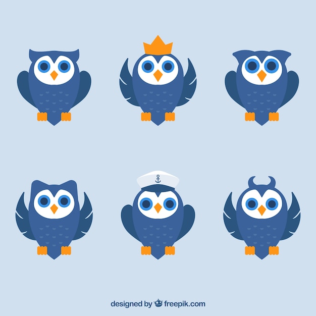 Free vector collection of blue owls in flat design