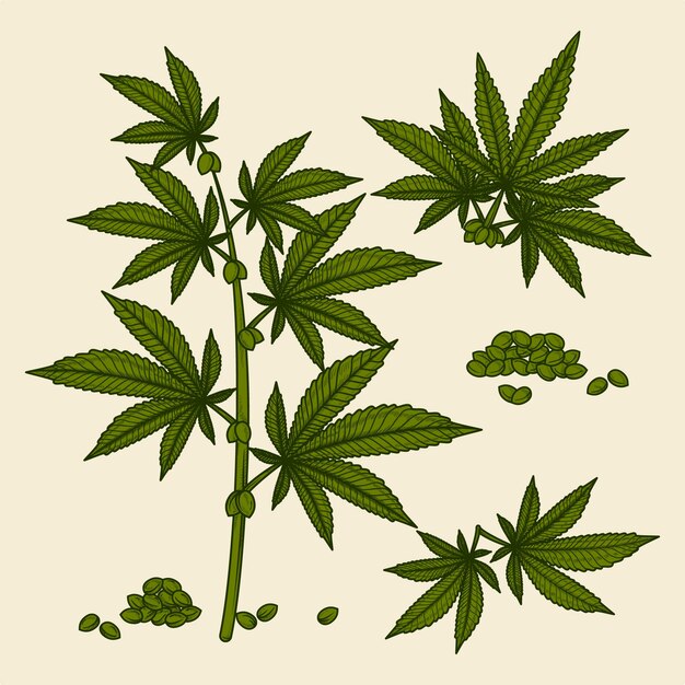 Collection of botanical cannabis leaves and seeds
