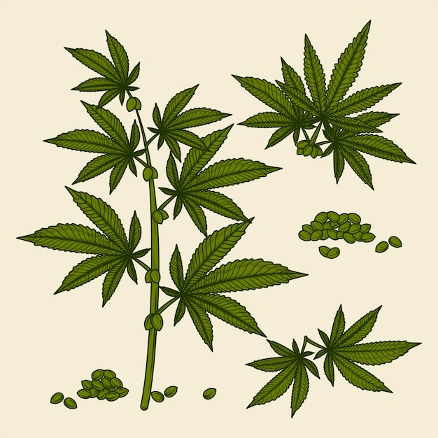植物の大麻の葉と種子のコレクション