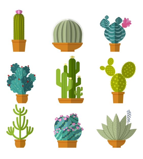 Collection of cactus in flat style.