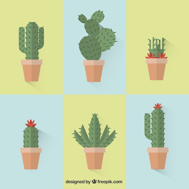 Free vector collection of cactus