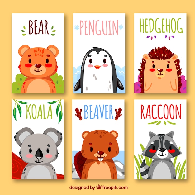 Collection of cards with exotic animals