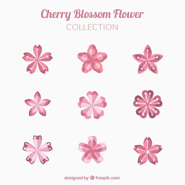 평면 디자인의 벚꽃 컬렉션