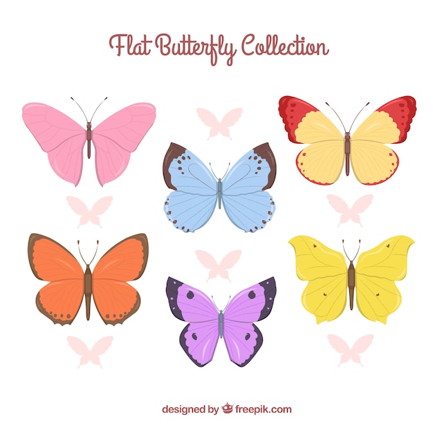 Free vector collection of colored butterfly