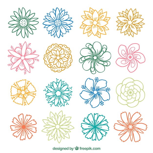 Collection of colored flower sketches