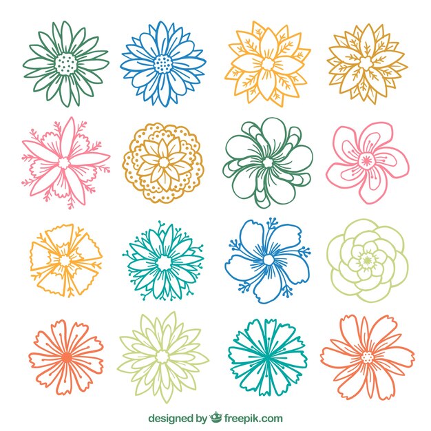 Collection of colored flower sketches