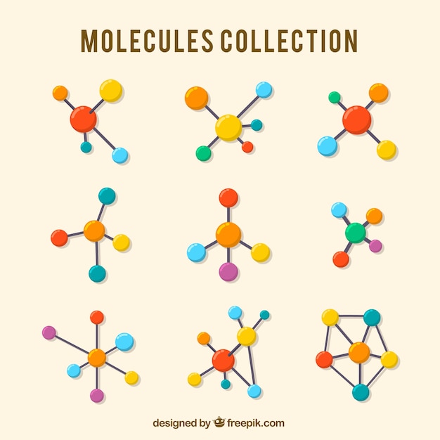 Collection of colored molecule in flat design