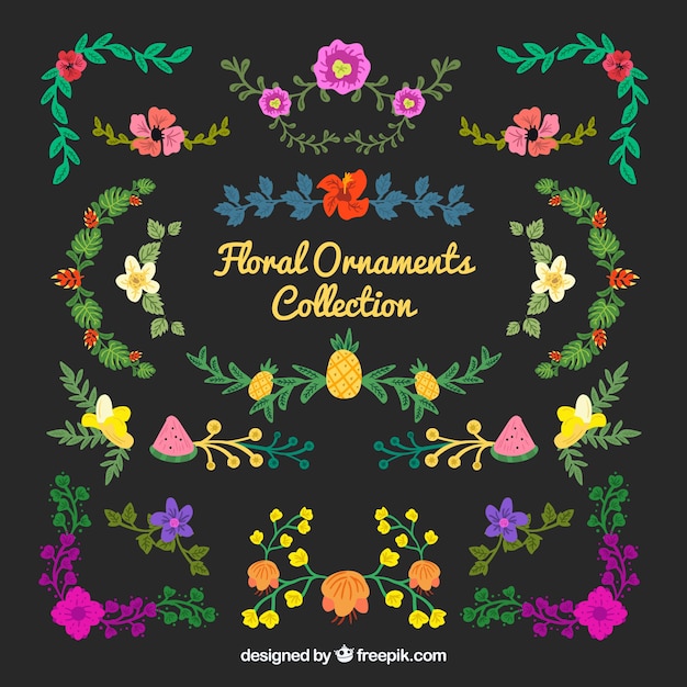 Коллекция красочных цветочных орнаментов