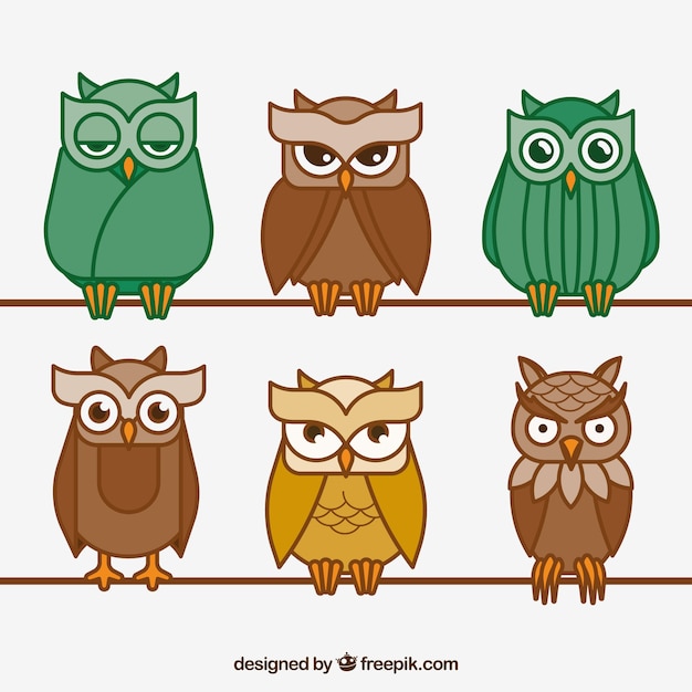 Collection of colorful outline owls