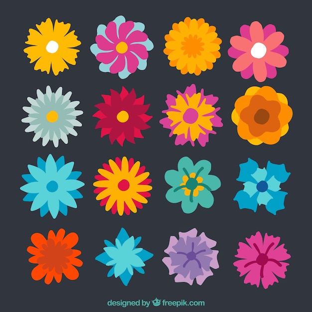 Collection of colorful spring flowers