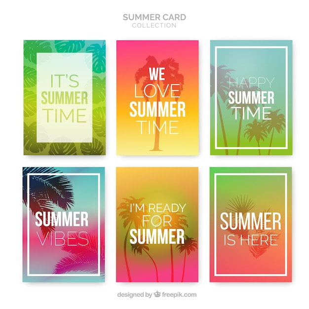 화려한 여름 카드 컬렉션