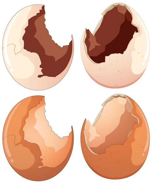 Free vector collection of cracked eggs in different shapes