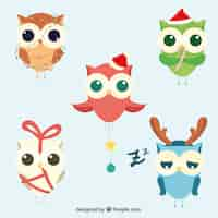 Free vector collection of cute christmas owls