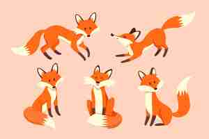 Free vector collection of cute drawn foxes