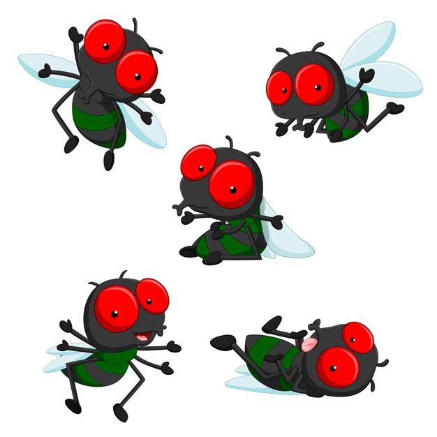 Housefly Fly Images | Free Vectors, Stock Photos & PSD