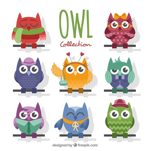 Collection of cute owls in flat design