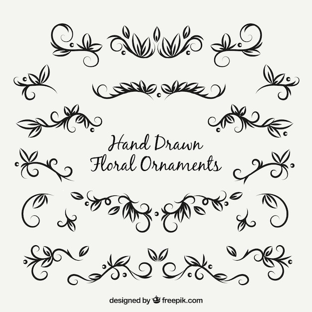 Collection of decorative elements of hand drawn leaves