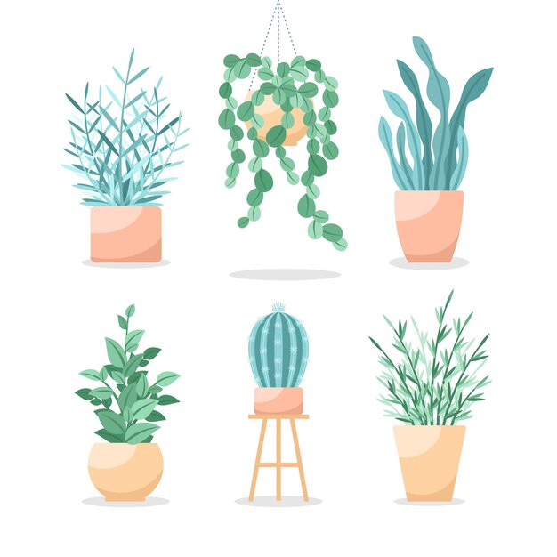 다른 녹색 관엽 식물의 컬렉션