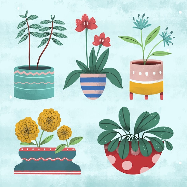 Free vector collection of different green houseplants