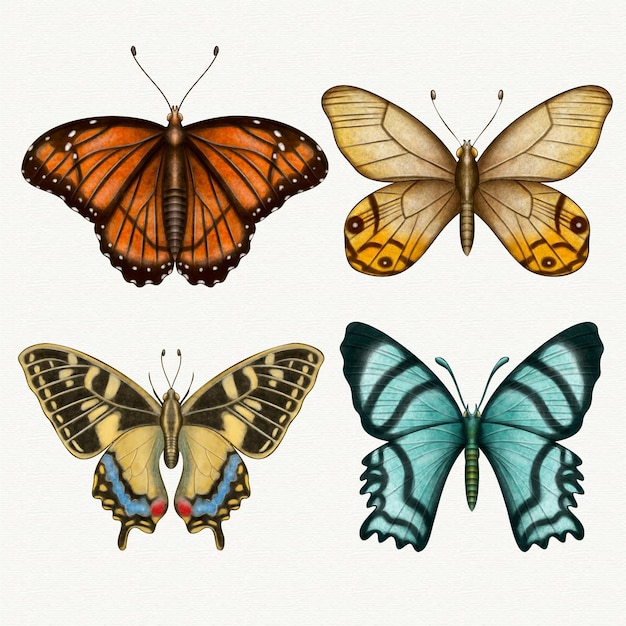 さまざまな水彩蝶のコレクション