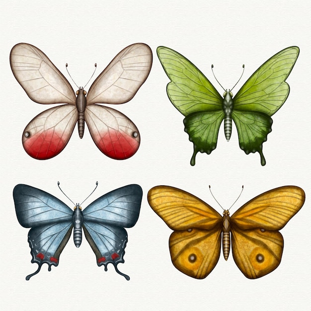 Collection of different watercolor butterflies