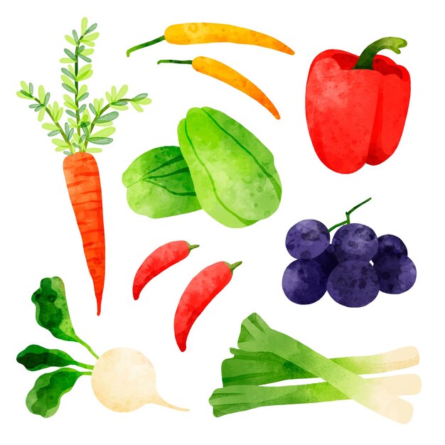 Коллекция различных акварельных овощей