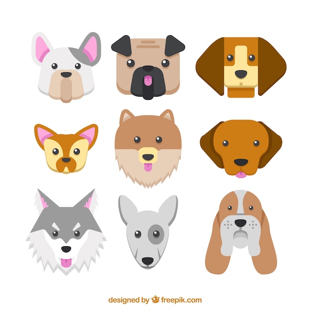 Free vector collection of dog breeds in flat design