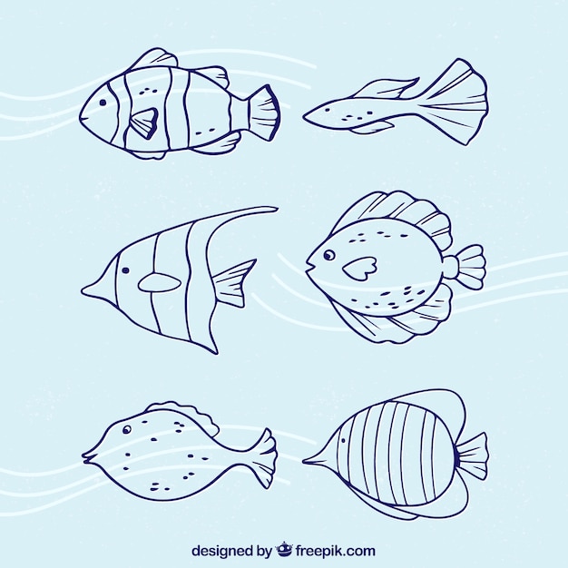 Free Vector collection of fish in doodle style
