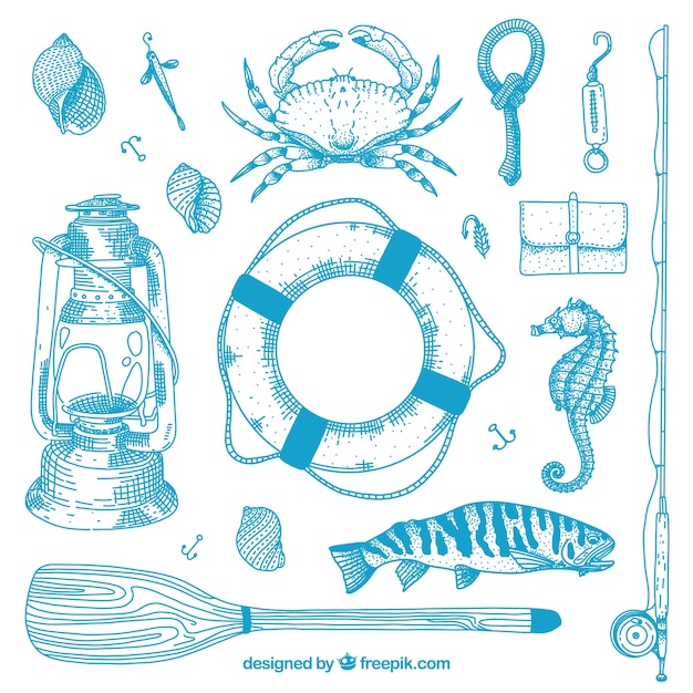 Free vector collection of fish elements