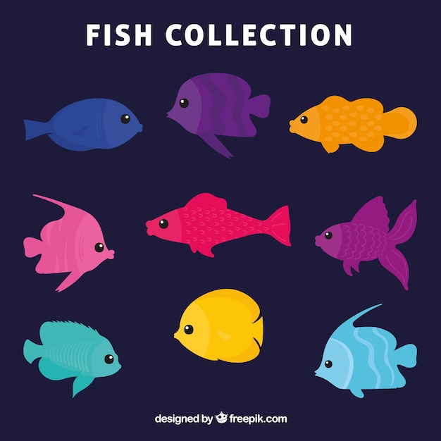 Free vector collection of fish in various colors