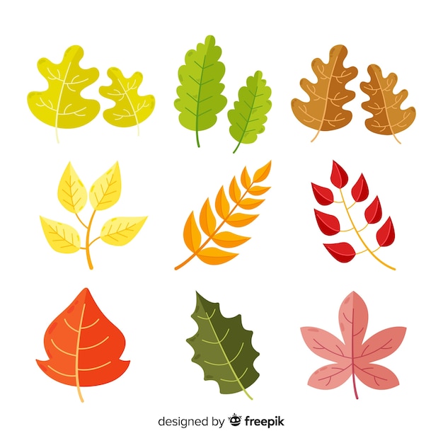 Free vector collection of flat autumn leaves