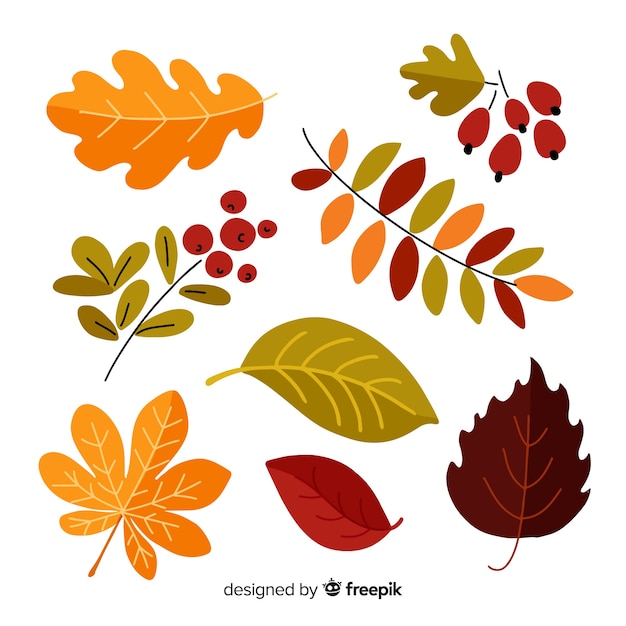 Collection of flat autumn leaves