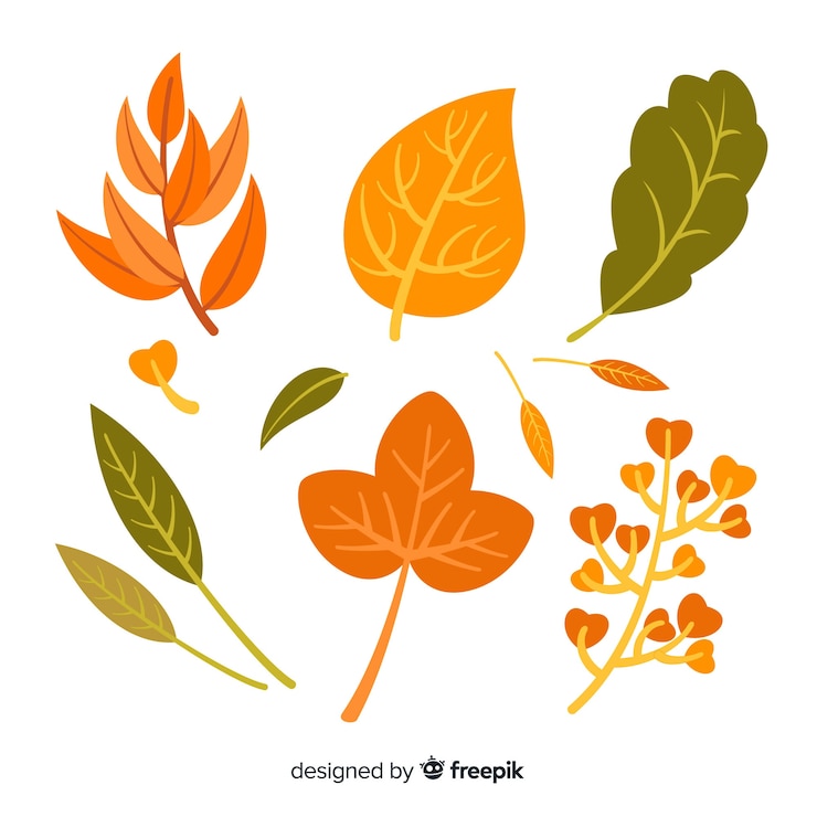 無料Vector 平らな秋の紅葉のコレクション