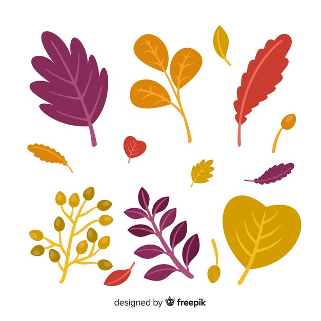 Collection of flat autumn leaves