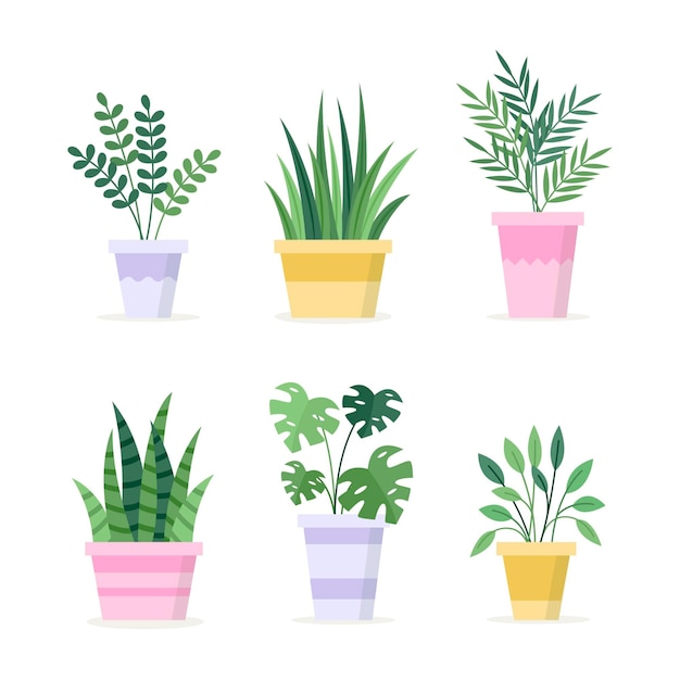 Free vector collection of flat design houseplants