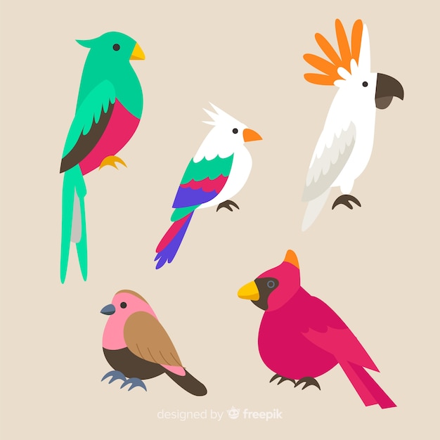 Free vector collection of flat exotic bird