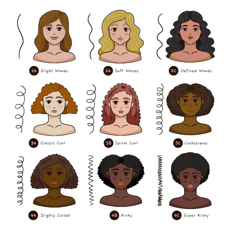 Free Vector collection of flat-hand drawn curly hair types